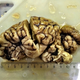 The prion-infected reindeer brain.